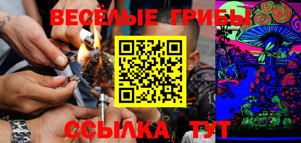 Псилоцибиновые грибы Cubensis Мелеуз